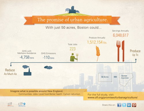 urban farming