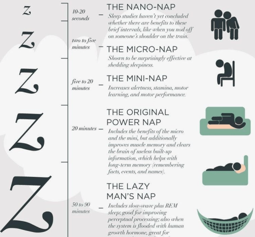 Napmap Do you nap? | BosGuy