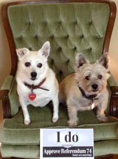 I do Truvy and Tramp