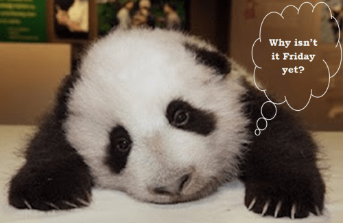 Why isnt it Friday yet