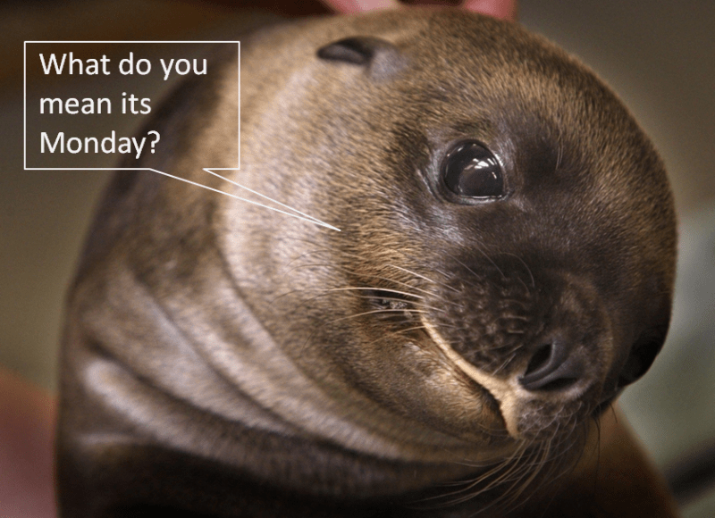 Monday blues