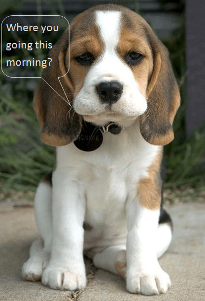 Monday Morning Blues