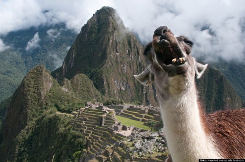 Machu Picchu
