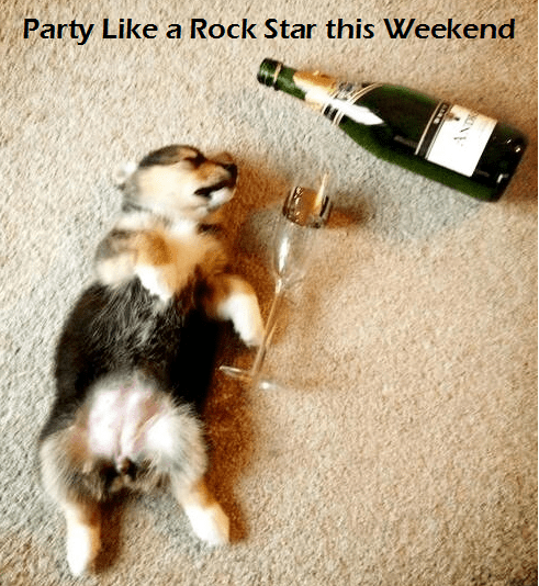 Party Like A Rock Star