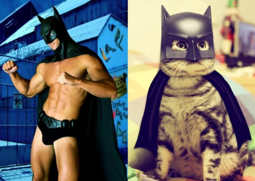 Men and Cats Batman