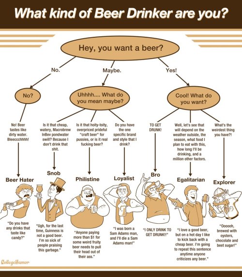 what kind of beer drinker are you