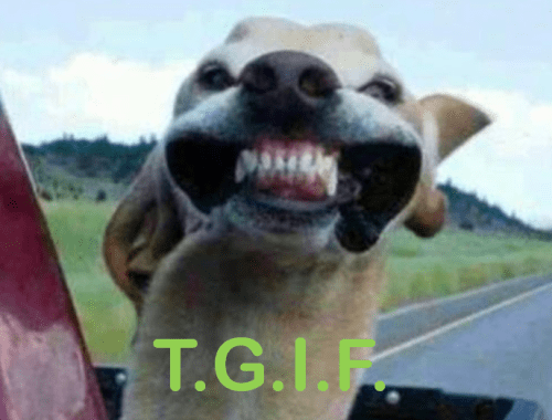 TGIF