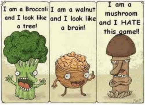 You are what you eat