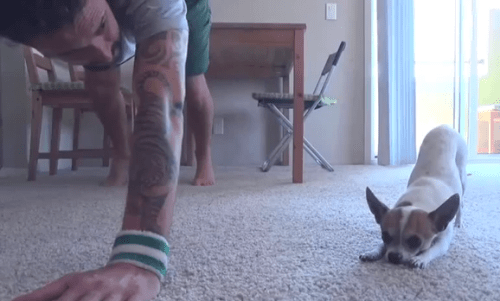 Doggie Yoga