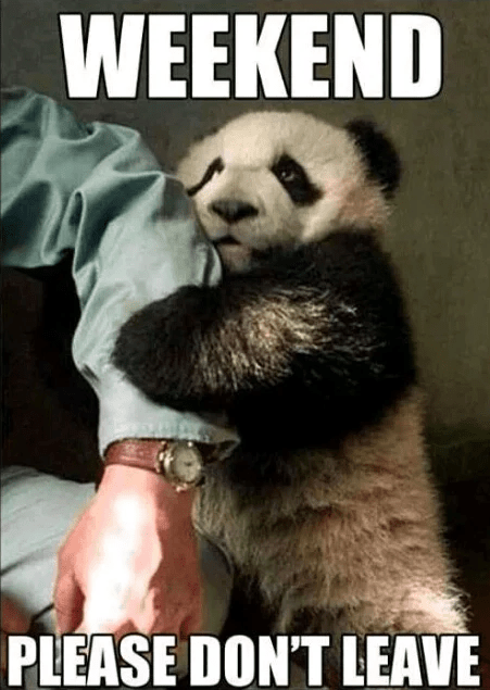 Please dont leave weekend