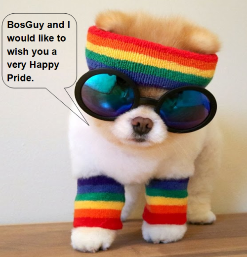 Happy Pride doggie