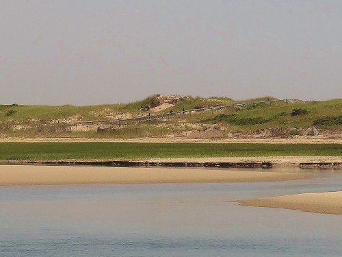 Ogunquit Beach Dunes