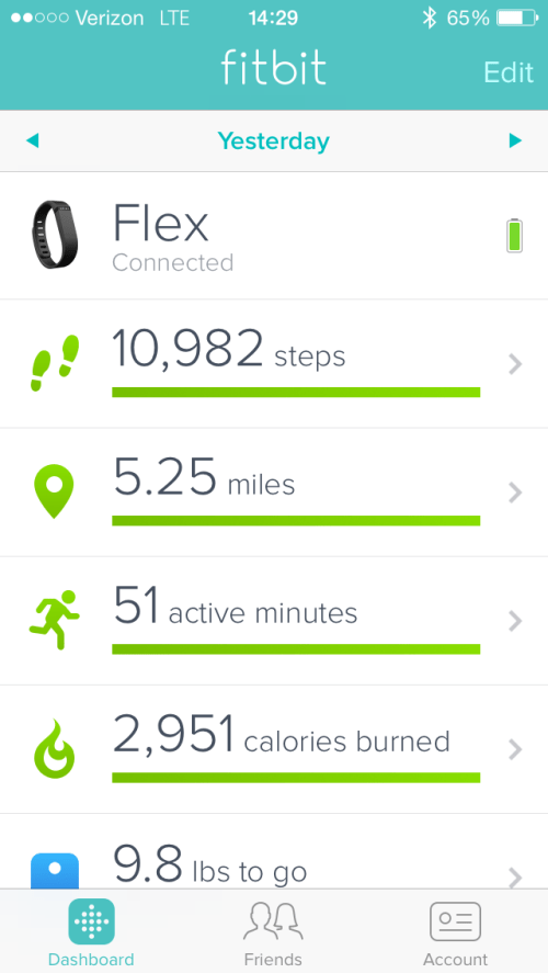 FitBit Screen