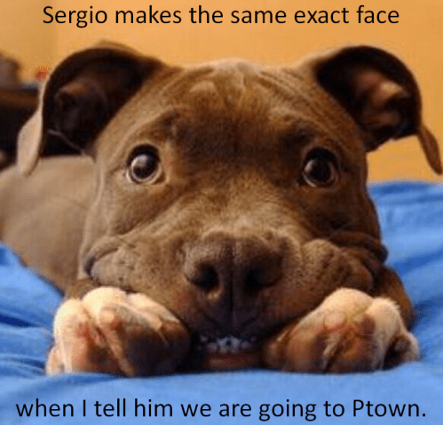 This is what Sergio looks like when