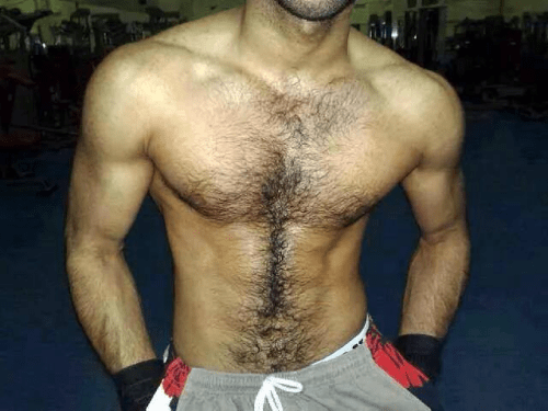 hairy torso, male chest