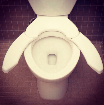 extra large toilet seat
