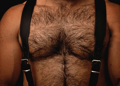 hairy chest