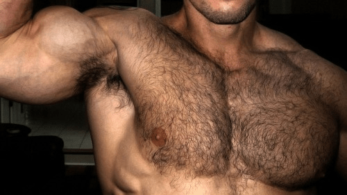 Hairy Chest, muscles, hunk