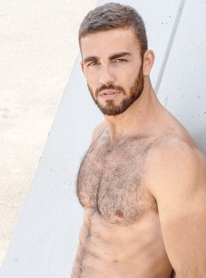 handsome, hunk, otter, beard, shirtless, hairy chest