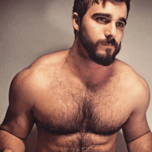 handsome, hunk, shirtless, hairy, beard, gay