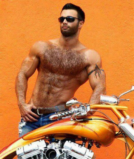 handsome, hairy, furry, chest