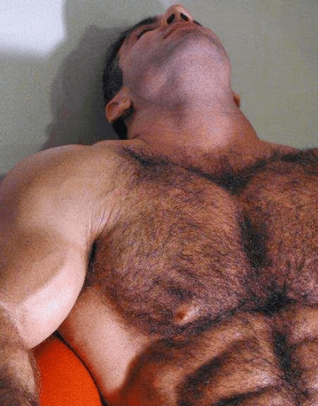 hairy chest, hunk, furry