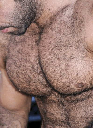 Hairy chest, pecs, hunk, furry