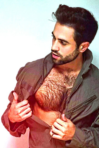 handsome, hunk, hairy chest, beard