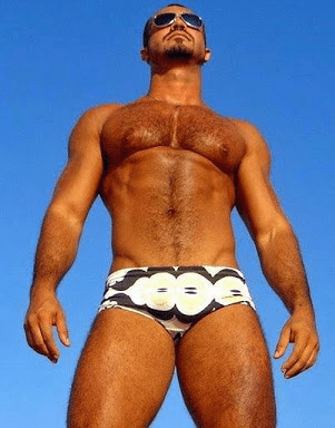 handsome, hunk, speedo, shirtless, hairy chest