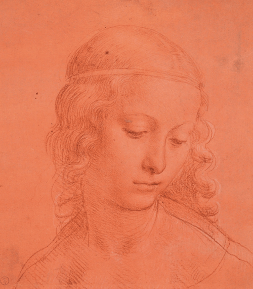 MFA Boston, Museum of Fine Arts, Leonardo Da Vincii and the idea of beauty
