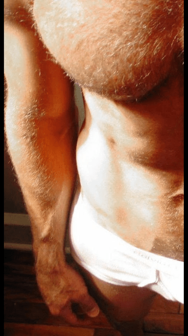 hairy chest, fur, male torso