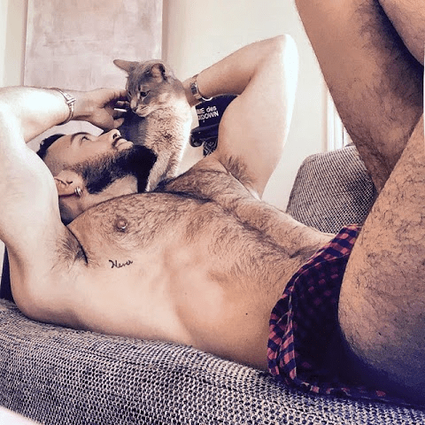 kitty, handsome guy, underwear, hairy chest