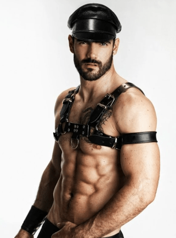 handsome, hunk, abs, leather, harness, pecs, hairy
