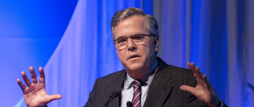 Jeb Bush
