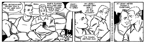 James Asal Jr., gay cartoon, gay comic