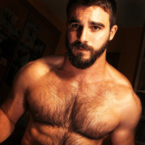 handsome, beard, hairy, chest