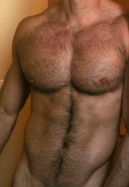 hairy, muscle, chest, abs