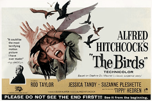 The Birds Alfred Hitchcock