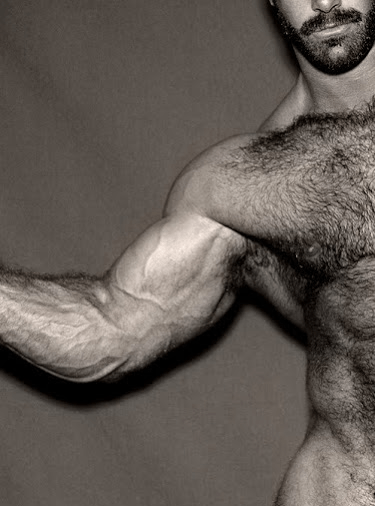 hairy, muscle, handsome, hunk