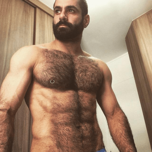 handsome, hunk, hairy man, chest, abs, beard