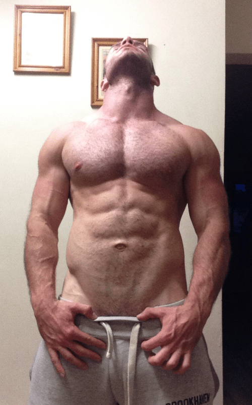 handsome, hunk, muscles, abs