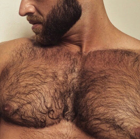 chest, hairy, beard