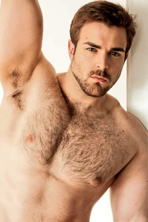 hunk, handsome, pecs, hairy, beard