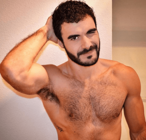 hairy, chest, beard, muscle, furry, hunk