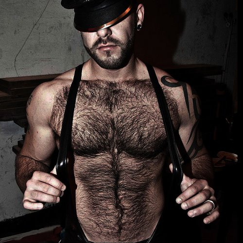 hairy, furry, leather, muscles, hunk