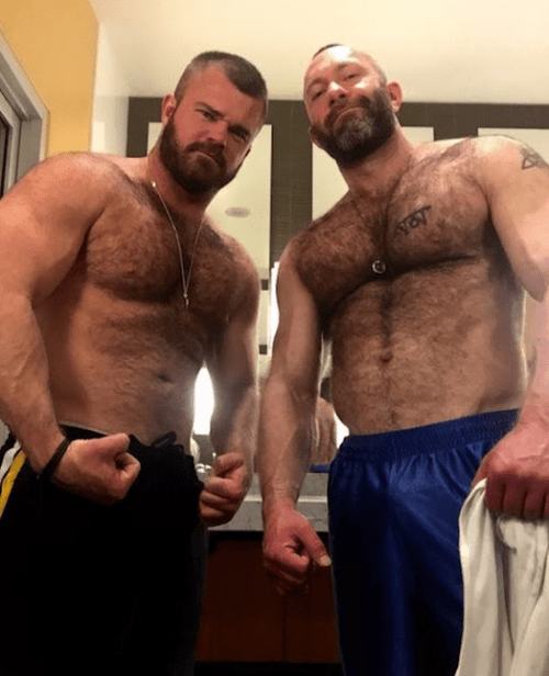 handsome, hunk, hairy chest, bear