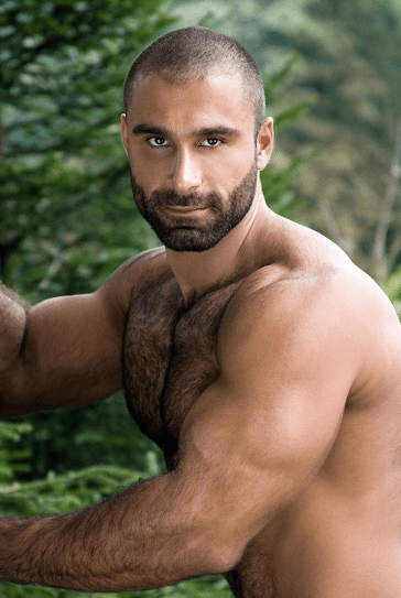 handsome, hunk, hairy guy, muscles