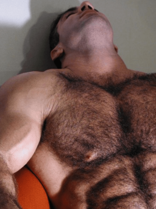 hairy chest, handsome, abs, muscles