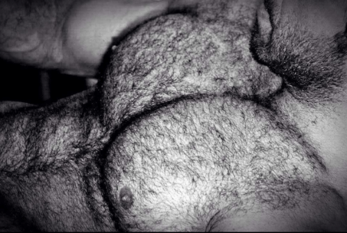 muscles, hairy chest