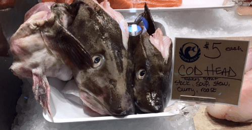 Boston Public Market fish